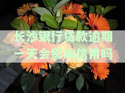 长沙银行房贷逾期一天是否会对个人信用记录产生影响？如何应对逾期情况？