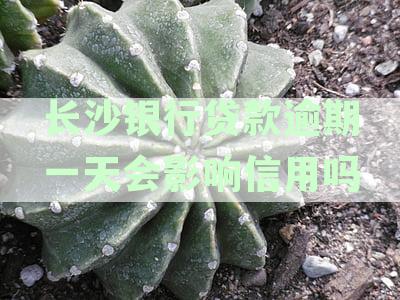 长沙银行贷款逾期一天会影响信用吗