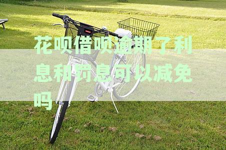 逾期还款的借呗和花呗：如何有效减少利息负担？