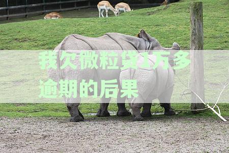 逾期还款1万元，微粒贷可能带来的严重后果：警惕这些法律诉讼陷阱