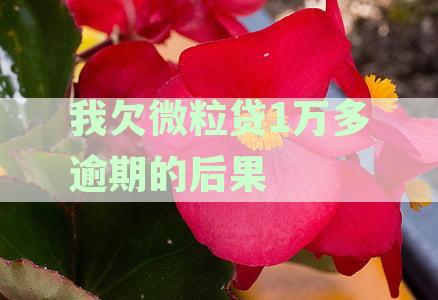 微粒贷逾期还款1万元以上后果分析：信用记录、罚息、法律责任一网打尽！