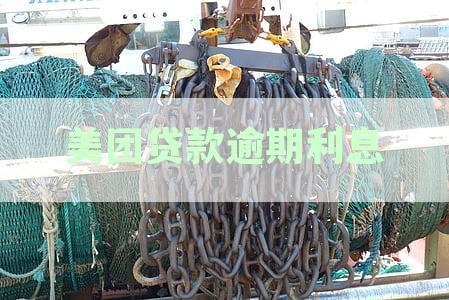 美团贷款逾期利息