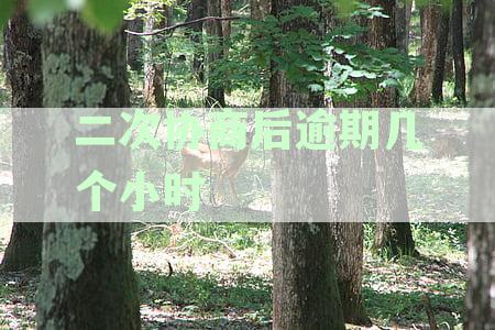 二次协商后逾期几个小时还款可以吗？如何处理？再次逾期后是否能补救？