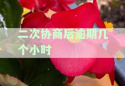 应对逾期信用卡二次协商还款：具体策略与解决办法