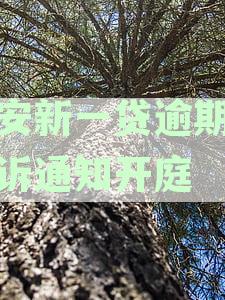 平安新一贷逾期被起诉通知开庭怎么办 - 应对措与后果及常见疑问解答