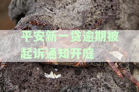平安新一贷逾期被起诉：如何应对开庭？需要准备哪些文件和证据？