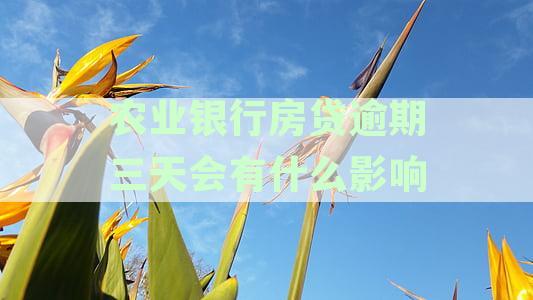 农业银行房贷逾期三天可能带来的后果及应对策略：详细解析与建议