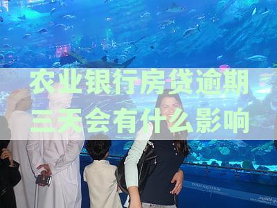 中国农业银行房贷逾期三天上征信吗？如何处理？