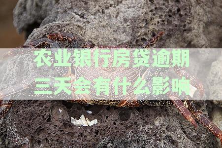 农业银行房贷逾期三天会有什么影响