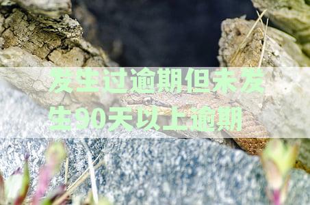 信用卡逾期未超过90天对征信的影响探讨