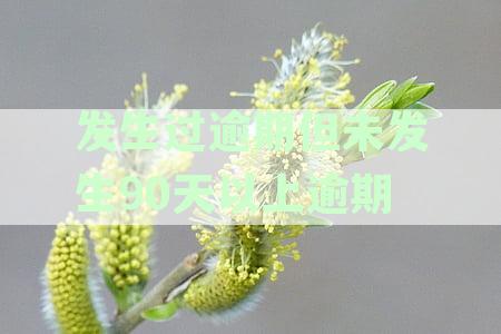 发生过逾期但未发生90天以上逾期