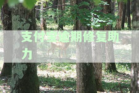 支付宝逾期修复助力