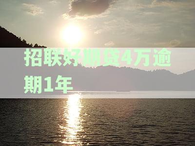 招联好期贷4万逾期1年怎么办？