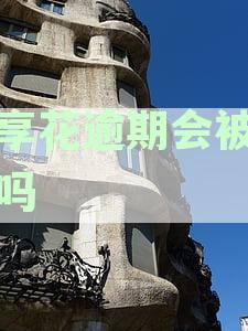 2500元逾期款：宜享花还款风险分析及避免措