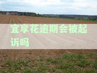 花呗逾期后果及处理方法全面解析：是否会被起诉？如何应对无力偿还？
