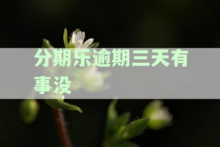 分期乐逾期3天会上征信吗？会有影响吗？