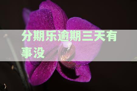分期乐逾期三天内的解决方案与处理建议