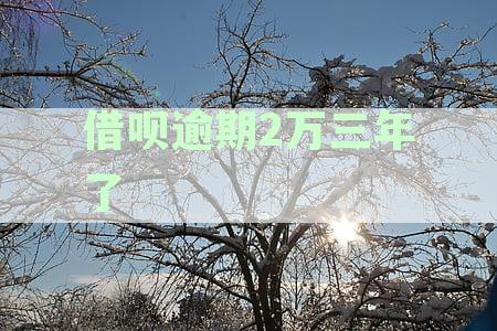借呗3000多逾期两年后果处理方式与利息计算详解