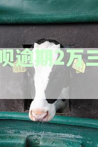 借呗逾期2万三年了