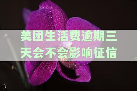 美团生活费三天还款逾期，是否会影响个人征信记录？