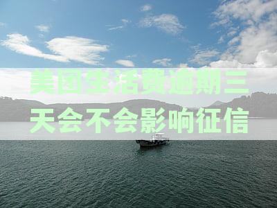 美团生活费逾期三天对征信报告的影响：可能的后果及解决方法全面解析