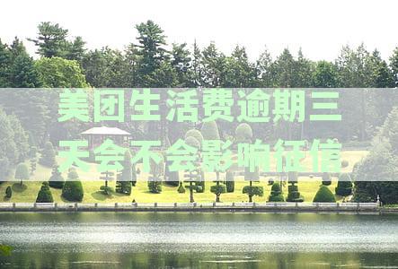 美团生活费逾期三天是否影响征信？如何处理？还能借款吗？