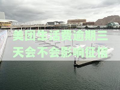 美团生活费逾期三天对信用评分的影响分析