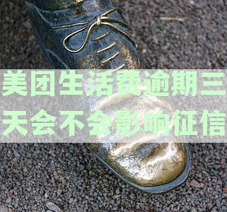 美团生活费逾期三天还款，用户仍可借款吗？如何操作以避免逾期影响？