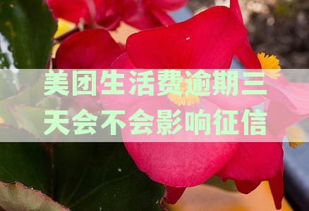 美团生活费逾期三天会不会影响征信