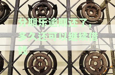 已还清逾期分期款后，何时能再次使用借款服务