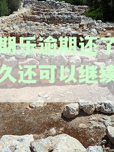 分期乐逾期还款后，是否还有再次借款的机会和可行性分析