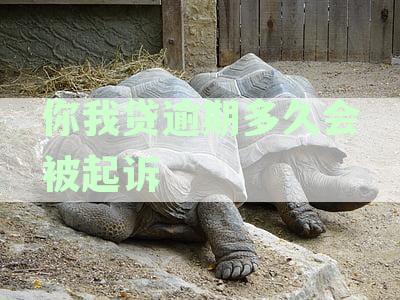 你我贷逾期还款问题解决指南：多久会被起诉？真的还不上该如何应对？