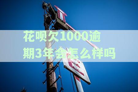 花呗欠款1000元三年未还款，可能面临的财务影响和解决方案