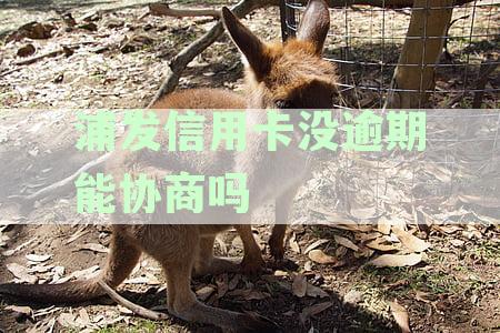 浦发银行协商不成功，用户应该如何应对？