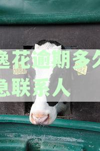 安逸花逾期多久上征信被打电话提醒了