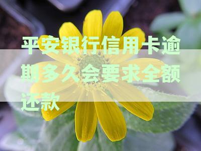 平安银行信用卡逾期多久会要求全额还款停卡：十天后能否本月底一起还清？