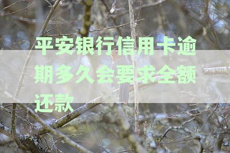 信用卡逾期还款时间与平安银行全额要求相关探讨
