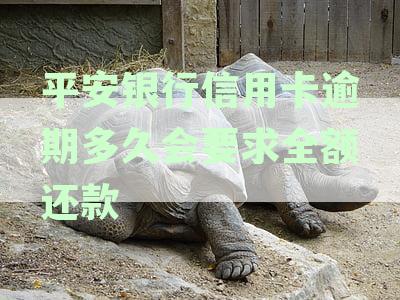 平安银行信用卡逾期多久会要求全额还款还清-平安银行信用卡逾期多久会要求全额还款还清