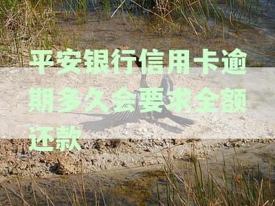 长时间未还款的信用卡用户，你们是怎么处理的？