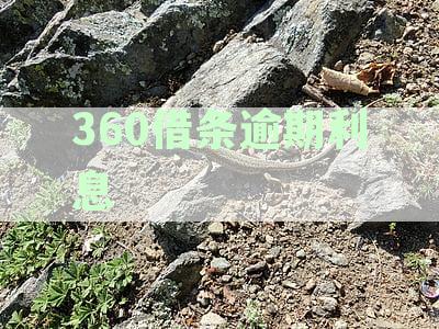逾期利息如何计算？是否会越来越多？如何避免逾期利息上涨？