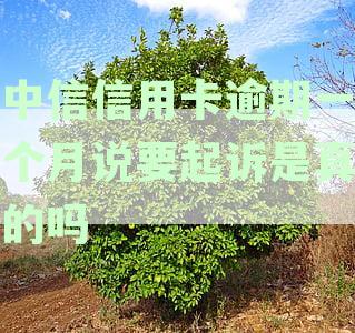 逾期一个月还款后中信银行信用卡还能用吗？如何恢复信用并避免逾期影响？