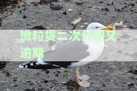 关于微粒贷二次分期逾期的解决策略与案例分析