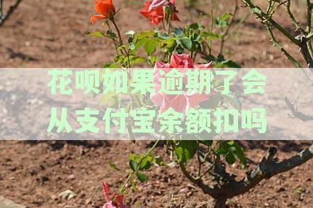 花呗逾期后，支付宝账户余额充足是否会自动扣款？如何解决花呗逾期问题？