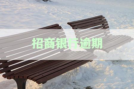 招商银行信用卡逾期后家人接到电话的应对策略：信用、还款期限与银行沟通