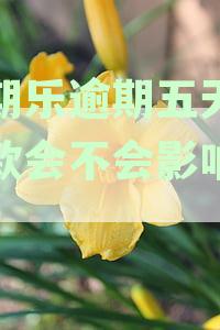 分期乐逾期五天还进去以后还能取出来么？逾期还款会影响使用吗？