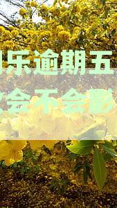 分期乐逾期五天后还款会不会影响使用
