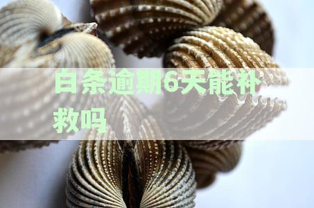 白条逾期6天能补救吗？每天多少钱？会对贷款产生影响吗？