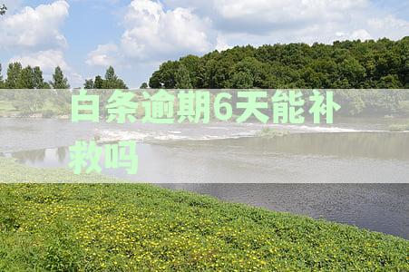 白条逾期6天的影响：贷款、信用评分和解决方案全解析