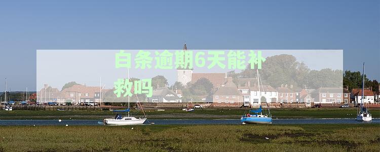 '白条逾期六天还上还能用吗':关于白条逾期还款后是否能继续使用的问题解答
