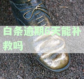 白条逾期6天能补救吗